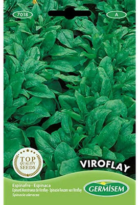 CYBEXIS Viroflay Spinach Seeds 4000 Seeds Seed(4000 per packet)