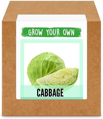 CYBEXIS Cabbage2000 Seeds Seed(2000 per packet)