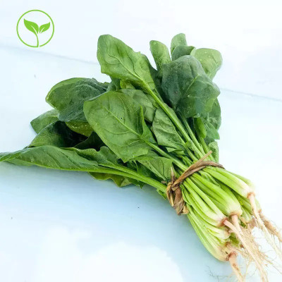 MYLAWN High Quality Spinach/Palak Vegetables Seed(2000 per packet)
