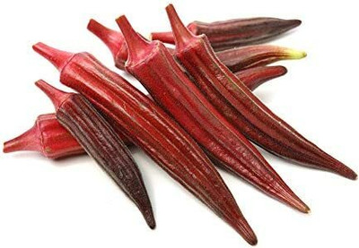 XOLDA Organic okra red Seed(15 per packet)