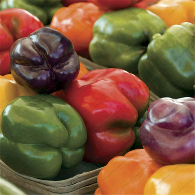 CYBEXIS Vegetables Fruit Peter Pepper Multicolor Capsicum Chili Seeds600 Seeds Seed(600 per packet)