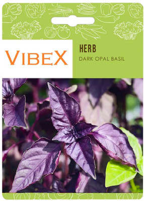 Biosnyg Dark Opal Basil Herb Seeds-[1000 Seeds] Seed(1000 per packet)