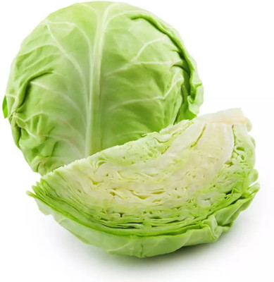 Quentova Green Cabbage-CIAR Seed(100 per packet)
