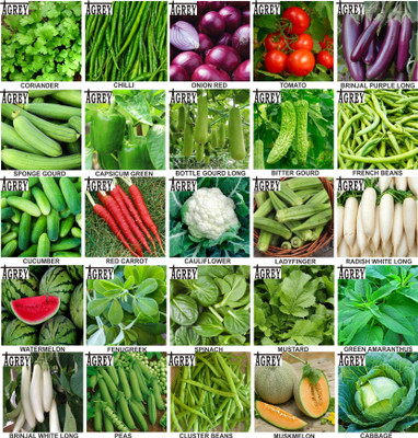 Agrey combo of 25 variety vegetable seeds with instruction manual. Seed(25 per packet)