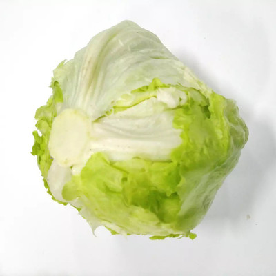 Quentova High-quality organic lettuce-CTU-11X Seed(300 per packet)