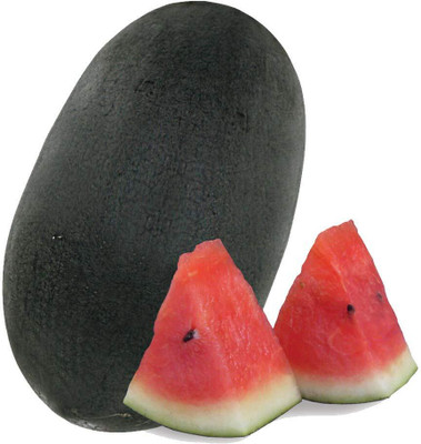 WILLVINE Watermelon Red Flesh Seeds - Watermelon - Round Black Seeds-[600 Seeds] Seed(600 per packet)