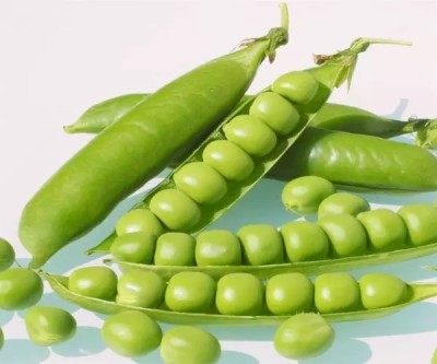 MYLAWN Green Matar Peas Seed(400 per packet)