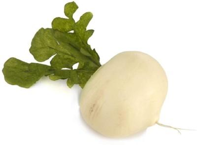 KNESSiN Turnip color white -{800 Seeds} Seed(800 per packet)