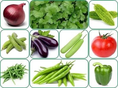 SUAA 10 Variety of Vegetables Seed for Planting in Home, Garden & Terrace Pots Seed(10 per packet)