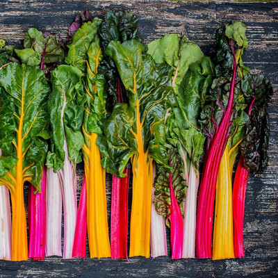 VibeX ® RXI-302 Golden Sunrise Swiss Chard Seeds Seed(500 per packet)