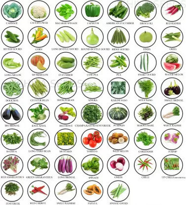 FLARE SEEDS 52 Variety of Vegetable Seeds Gardening Combo Seed(52 per packet)