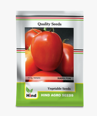 Cloud Farm hybrid Tomato hamelton Seed(200 per packet)