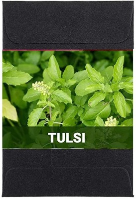 CYBEXIS Tulsi Flower Seeds400 Seeds Seed(400 per packet)