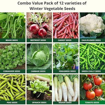 Rootify ™CFR-40 Variety Hybrid Vegetable Seeds Combo Pack-12-SEEDS-VC-633 Seed(10 g)