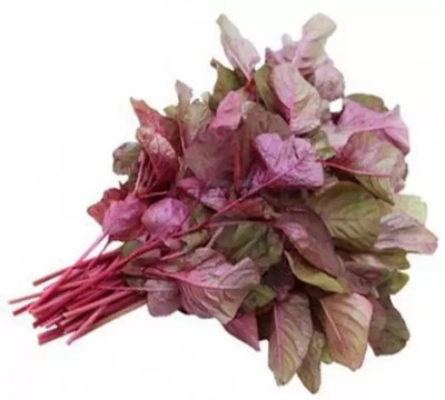 Aro Amaranthus Red, Tottakura Seed(100 per packet)