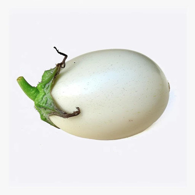 Biosnyg Extended Harvest Season White Egg Brinjal Eggplant ( Seeds) Seed(5000 per packet)