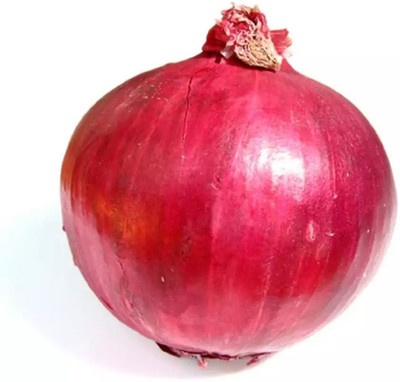the green dotcom Nasik Super Red (कांदा) Onion Seed(60 per packet)