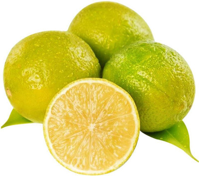 Quentova Sweet lemon (Citrus limetta) Seed-TKK-7C Seed(25 per packet)