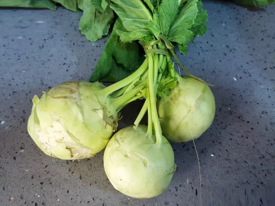 WASP Kohlrabi, Knol khol Seed(2000 per packet)