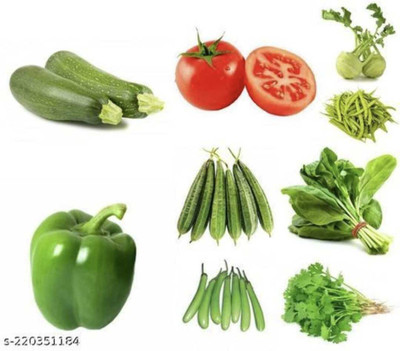 FRESHO All Mixed Vegetable Seeds Seed(550 per packet)
