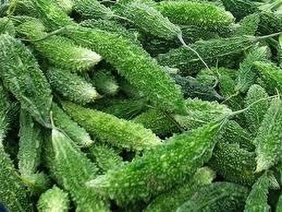 BDSresolve Corolla seeds for plant pack of 23 Seed(23 per packet)