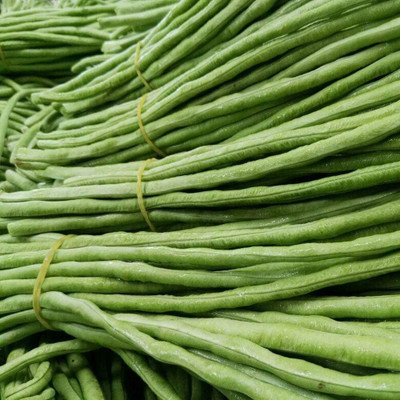 CYBEXIS Cowpea Seeds Annual Green Long Beans Vegetables for Courtyard Scaffold800 Seeds Seed(800 per packet)