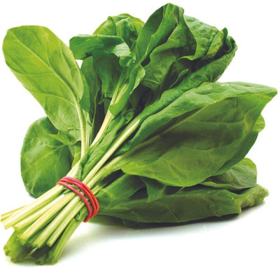everlite palak(spinach) fresh seeds Seed(100 per packet)