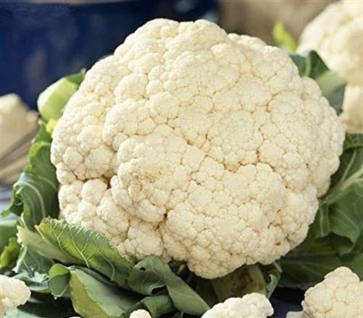 CYBEXIS Cauliflower Seeds Non-GMO White500 Seeds Seed(500 per packet)