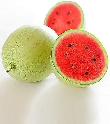 KNESSiN Disease-Resistant Watermelon Snow White Seeds for Home Gardening-(100 Seeds) Seed(100 per packet)