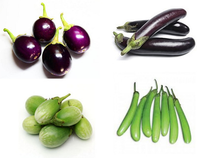 SimXotic Brinjal Combo of 4 Verieties Hybrid Seeds Seed(30 per packet)