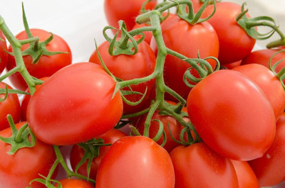 KNESSiN VIX-95 Italian Paste Tomato Seed(200 per packet)