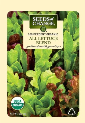 VibeX XL-29 - Organic All Lettuce Mix - (1350 Seeds) Seed(1350 per packet)