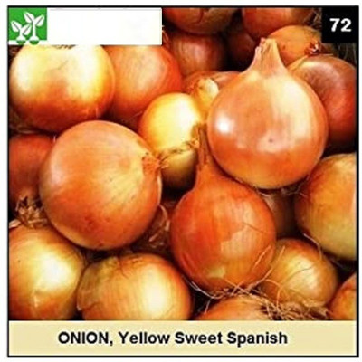 CYBEXIS YELLOW SWEET SPANISH ONION2000 Seeds Seed(2000 per packet)