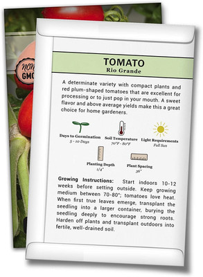 WILLVINE ® Rio Grande Tomato Seeds Seed(2500 per packet)