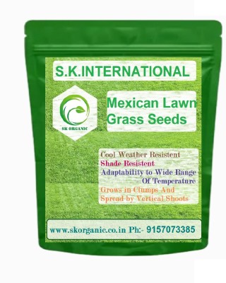 SK ORGANIC Mexican Lawn Grass Seeds for Gardens Farm house Cold,Drought & Shade Tolerant Seed(100 g)