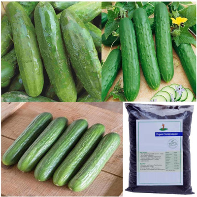 Qualtivate KGF -827 Combo Pack Cucumber (Mix)with vemicompost Seed(200 per packet)