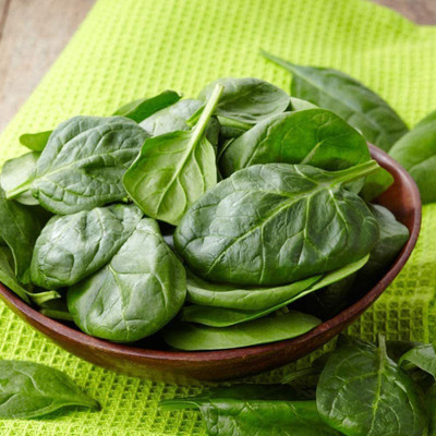 CYBEXIS Spinach Seeds Garden/Terrace/roof Gardening Attempt 2000 Seeds Seed(2000 per packet)