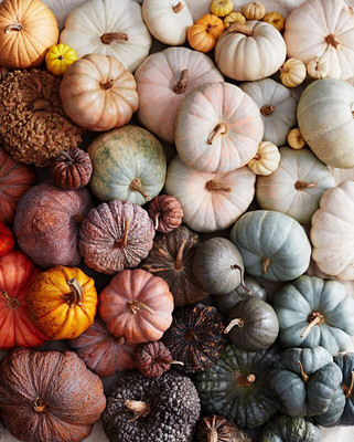 Pbevergreen Fresh Pumpkin Vegetable Hybrid Quality Seed(20 per packet)