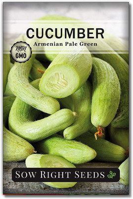 VibeX PUAS-77 - Armenian Pale Green Cucumber - (450 Seeds) Seed(450 per packet)