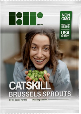 WILLVINE AGRI -XVI Catskill Brussel Sprout Seeds [2.5g] Seed(750 per packet)