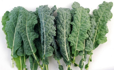 WILLVINE VMR -V Lacinato Kale Seed, Non-GMO [1g] Seed(300 per packet)