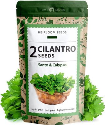 CYBEXIS TLX-92 - 2 Types of Cilantro - (2250 Seeds) Seed(2250 per packet)
