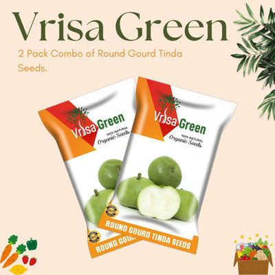 Vrisa Green Ground Gourd Seeds for a Bountiful and Refreshing Harvest Seed(2 per packet)