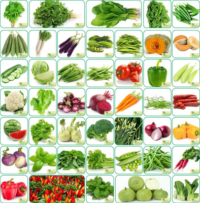 Agnico Agnico 45 Varieties of Vegetable Seeds 2665+ Germination Seeds For Your Garden With Instruction Manual Seed(2665 per packet)