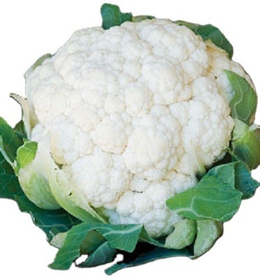 Quentova Snowball Cauliflower,फूल गोभी Seeds-2V-LTK Seed(200 per packet)