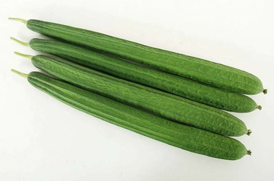 UGRA Sponge Gourd Seed(80 per packet)