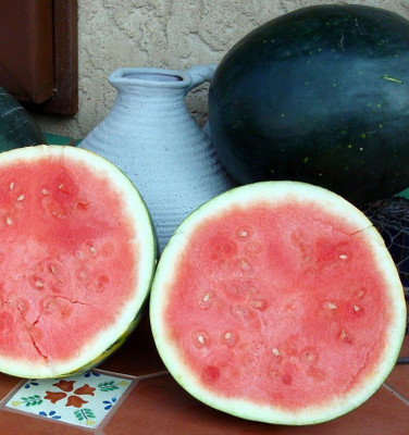 Farmonix Watermelon Harvest Moon Seed(30 per packet)