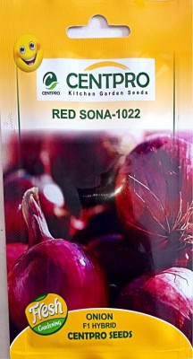 KRASHAK Pyaaz, Onion, Red Seed(2 per packet)