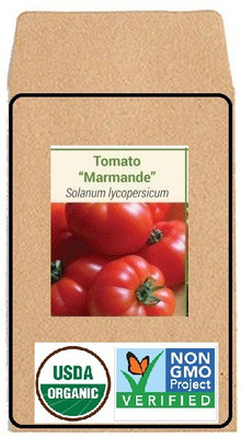 CYBEXIS Hybrid Seeds-Tomato Marmande2000 Seeds Seed(2000 per packet)