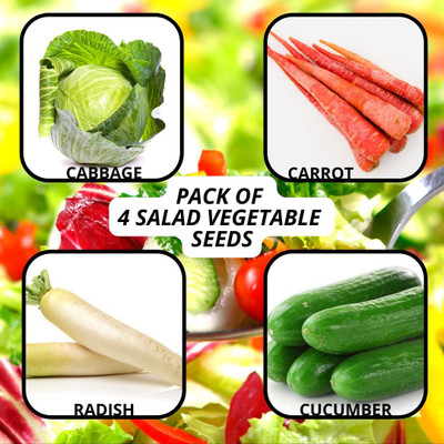 MKR Enterprises Combo Pack Seed(100 per packet)